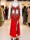 Egyptian Belly Dance Costume